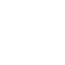 政府